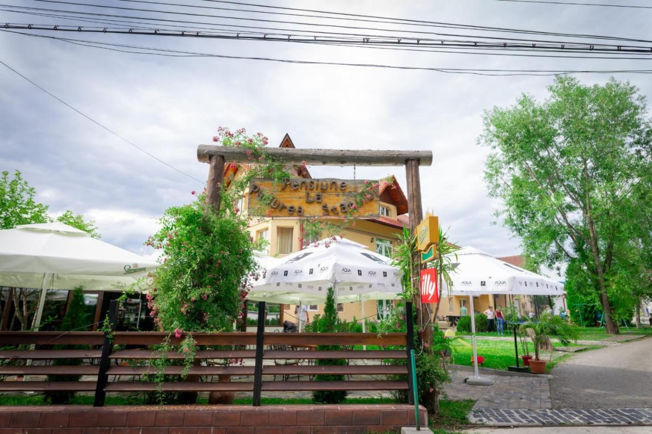La Padure Pensiune-Restaurant Novaci-Străini Exterior foto